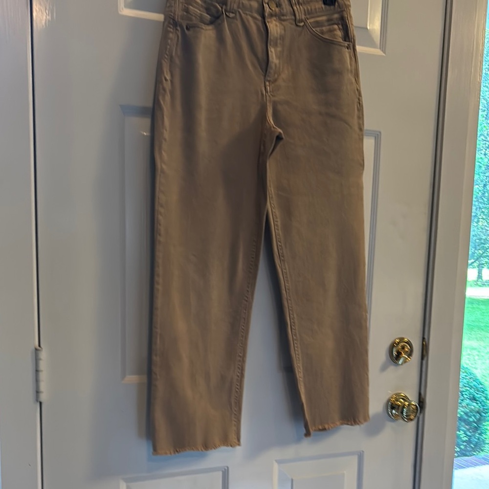 Democracy 'Ab'solution Pants